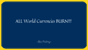 All World Currencies Burn!!!  Bo Polny